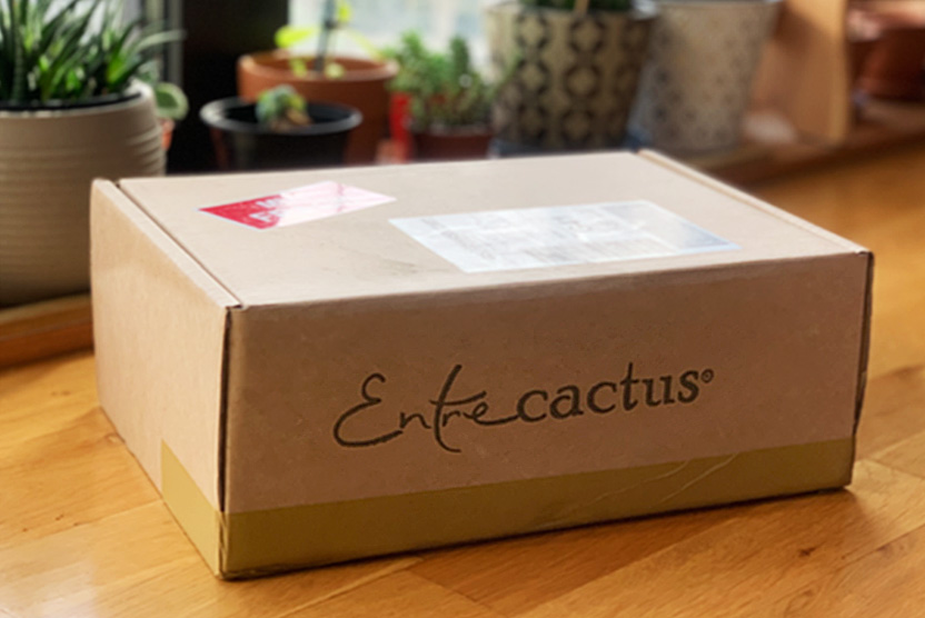 (c) Sara Fernández Blanco