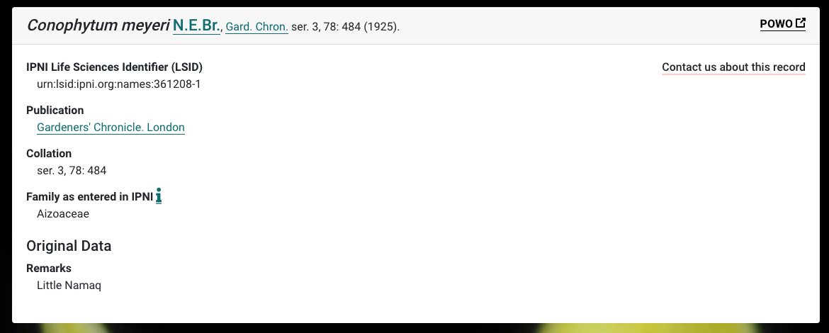 (c) Sara Fernández Blanco