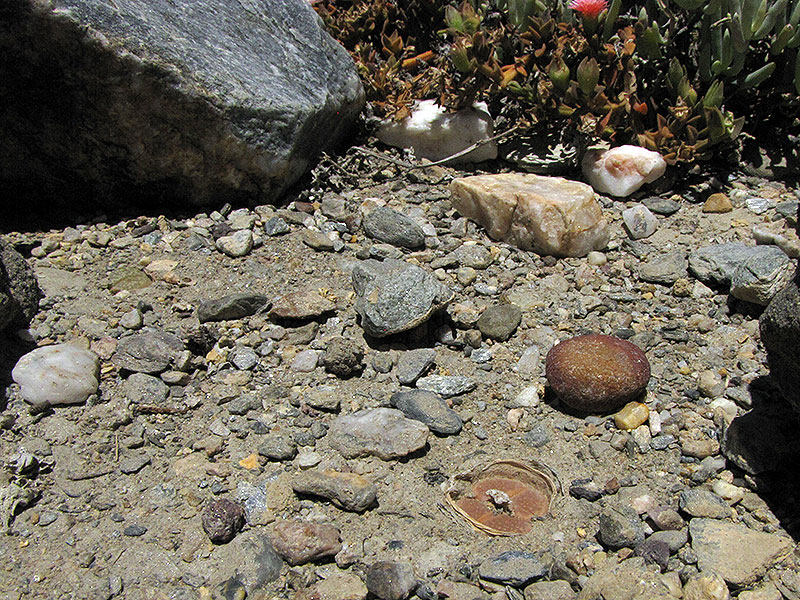 (c) Catherine Arthur