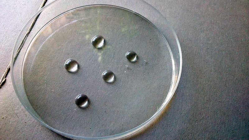 (c) José María López Muñoz